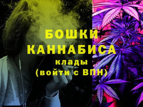 индика Вязники